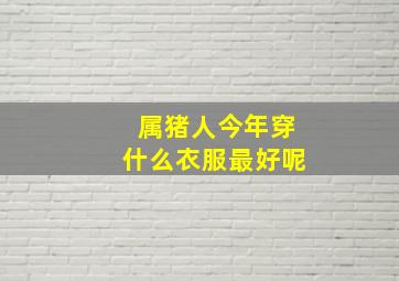 属猪人今年穿什么衣服最好呢