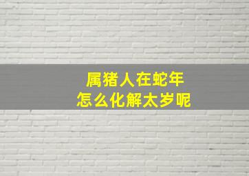 属猪人在蛇年怎么化解太岁呢