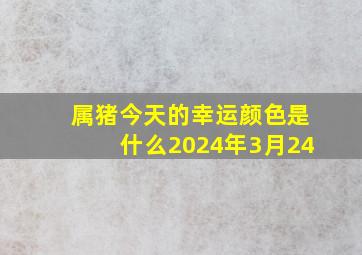 属猪今天的幸运颜色是什么2024年3月24