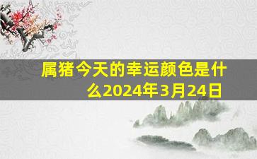 属猪今天的幸运颜色是什么2024年3月24日