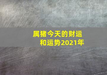 属猪今天的财运和运势2021年