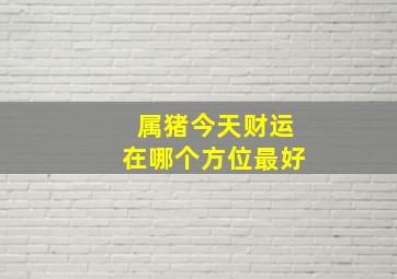 属猪今天财运在哪个方位最好