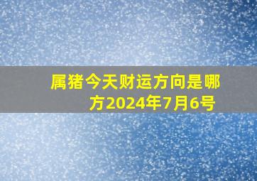 属猪今天财运方向是哪方2024年7月6号