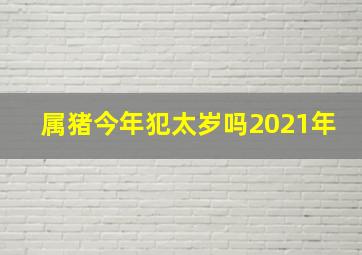 属猪今年犯太岁吗2021年