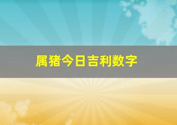 属猪今日吉利数字