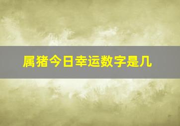 属猪今日幸运数字是几