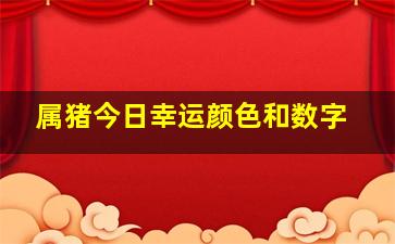 属猪今日幸运颜色和数字