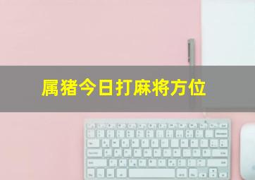 属猪今日打麻将方位