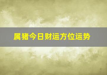 属猪今日财运方位运势