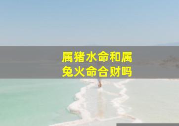 属猪水命和属兔火命合财吗