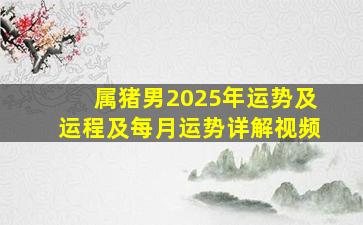 属猪男2025年运势及运程及每月运势详解视频