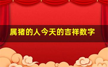 属猪的人今天的吉祥数字