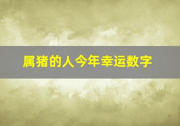 属猪的人今年幸运数字