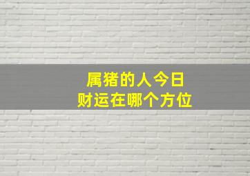 属猪的人今日财运在哪个方位