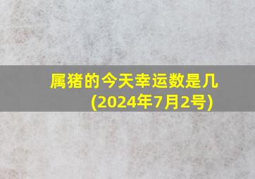 属猪的今天幸运数是几(2024年7月2号)