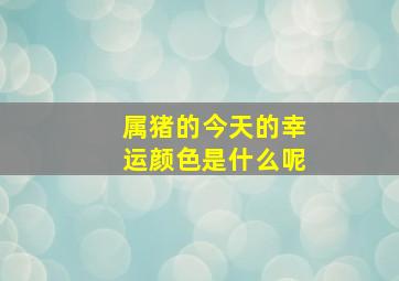 属猪的今天的幸运颜色是什么呢