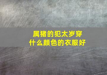 属猪的犯太岁穿什么颜色的衣服好