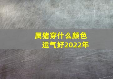 属猪穿什么颜色运气好2022年