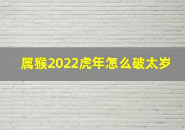 属猴2022虎年怎么破太岁