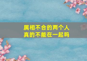 属相不合的两个人真的不能在一起吗