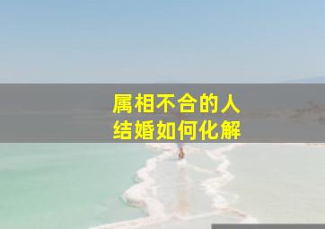 属相不合的人结婚如何化解