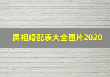 属相婚配表大全图片2020