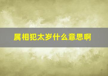 属相犯太岁什么意思啊