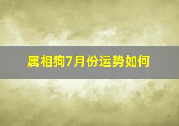 属相狗7月份运势如何