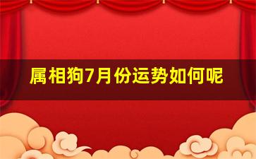 属相狗7月份运势如何呢