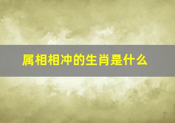 属相相冲的生肖是什么