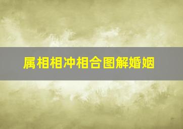 属相相冲相合图解婚姻