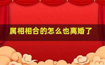 属相相合的怎么也离婚了