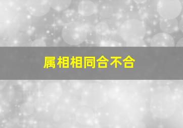 属相相同合不合