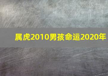 属虎2010男孩命运2020年