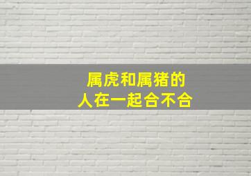 属虎和属猪的人在一起合不合