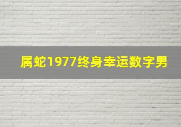 属蛇1977终身幸运数字男