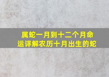 属蛇一月到十二个月命运详解农历十月出生的蛇