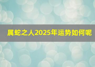 属蛇之人2025年运势如何呢