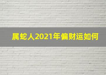 属蛇人2021年偏财运如何