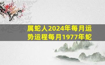 属蛇人2024年每月运势运程每月1977年蛇