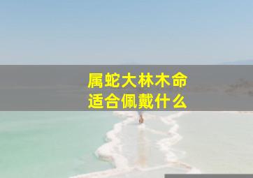 属蛇大林木命适合佩戴什么