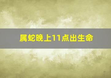 属蛇晚上11点出生命