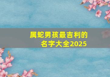 属蛇男孩最吉利的名字大全2025