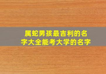 属蛇男孩最吉利的名字大全能考大学的名字