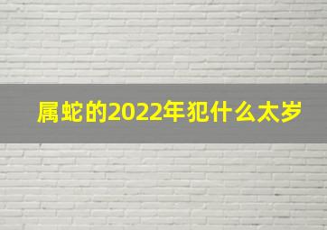 属蛇的2022年犯什么太岁