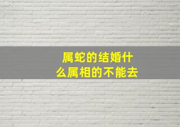 属蛇的结婚什么属相的不能去