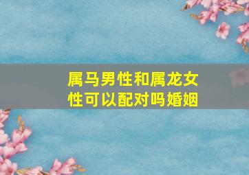 属马男性和属龙女性可以配对吗婚姻