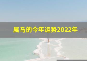 属马的今年运势2022年