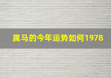 属马的今年运势如何1978