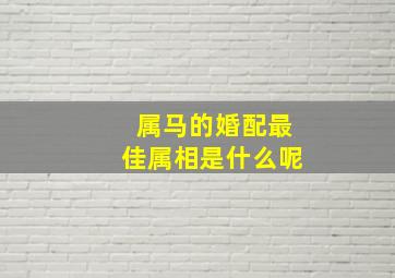 属马的婚配最佳属相是什么呢